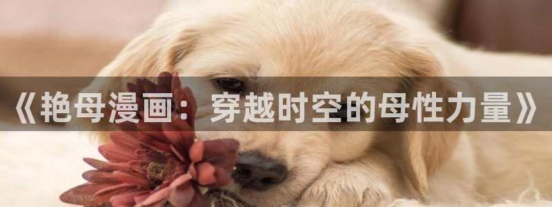 香香漫画在线阅读免费阅读